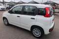 Fiat Panda Panda III 2021 1.0 firefly hybrid s&s Bianco - thumbnail 13