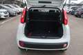 Fiat Panda Panda III 2021 1.0 firefly hybrid s&s Bianco - thumbnail 11