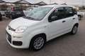 Fiat Panda Panda III 2021 1.0 firefly hybrid s&s Bianco - thumbnail 1