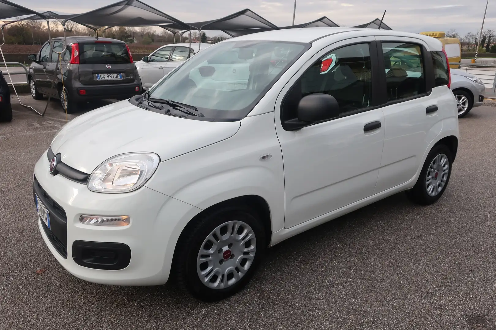 Fiat Panda Panda III 2021 1.0 firefly hybrid s&s Bianco - 1