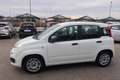 Fiat Panda Panda III 2021 1.0 firefly hybrid s&s Bianco - thumbnail 15