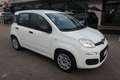 Fiat Panda Panda III 2021 1.0 firefly hybrid s&s Bianco - thumbnail 2