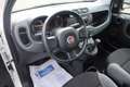 Fiat Panda Panda III 2021 1.0 firefly hybrid s&s Bianco - thumbnail 3