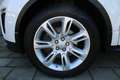 Land Rover Range Rover Evoque Evoque TD4 Aut. HSE Leder Xenon Navigation Weiß - thumbnail 21