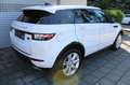 Land Rover Range Rover Evoque Evoque TD4 Aut. HSE Leder Xenon Navigation Weiß - thumbnail 15