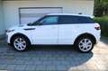 Land Rover Range Rover Evoque Evoque TD4 Aut. HSE Leder Xenon Navigation Weiß - thumbnail 11