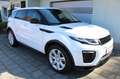 Land Rover Range Rover Evoque Evoque TD4 Aut. HSE Leder Xenon Navigation Weiß - thumbnail 1