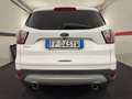 Ford Kuga Kuga 1.5 TDCI 120 CV S&S 2WD Powershift Titanium Bianco - thumbnail 5