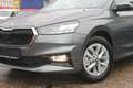 Skoda Fabia TSi DSG Alu AHK Klima Kamera SOFORT !!!!! Gris - thumbnail 33