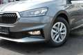 Skoda Fabia TSi DSG Alu AHK Klima Kamera SOFORT !!!!! Grau - thumbnail 12