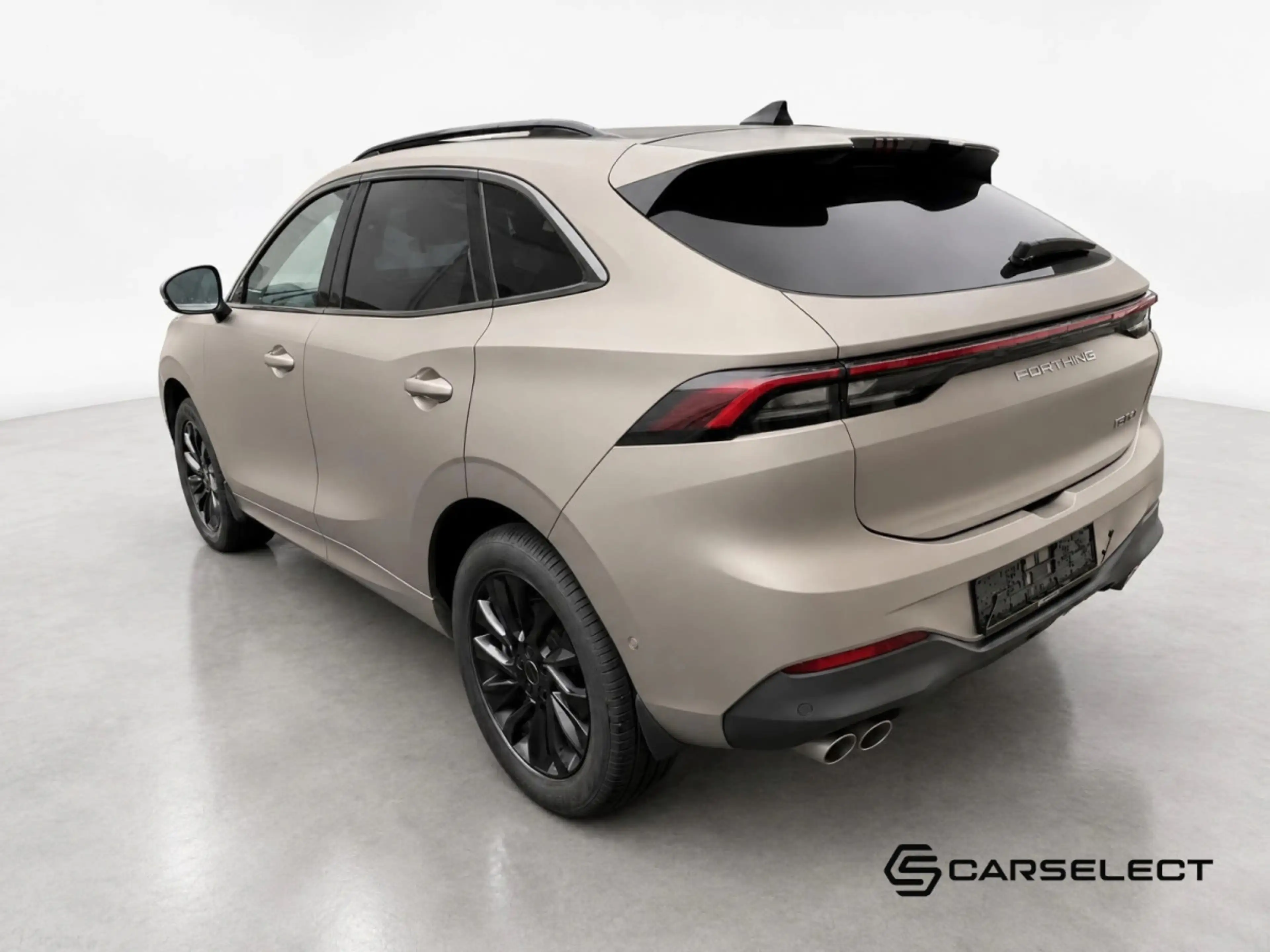Forthing T5 Evo T5 EVO — photo 3