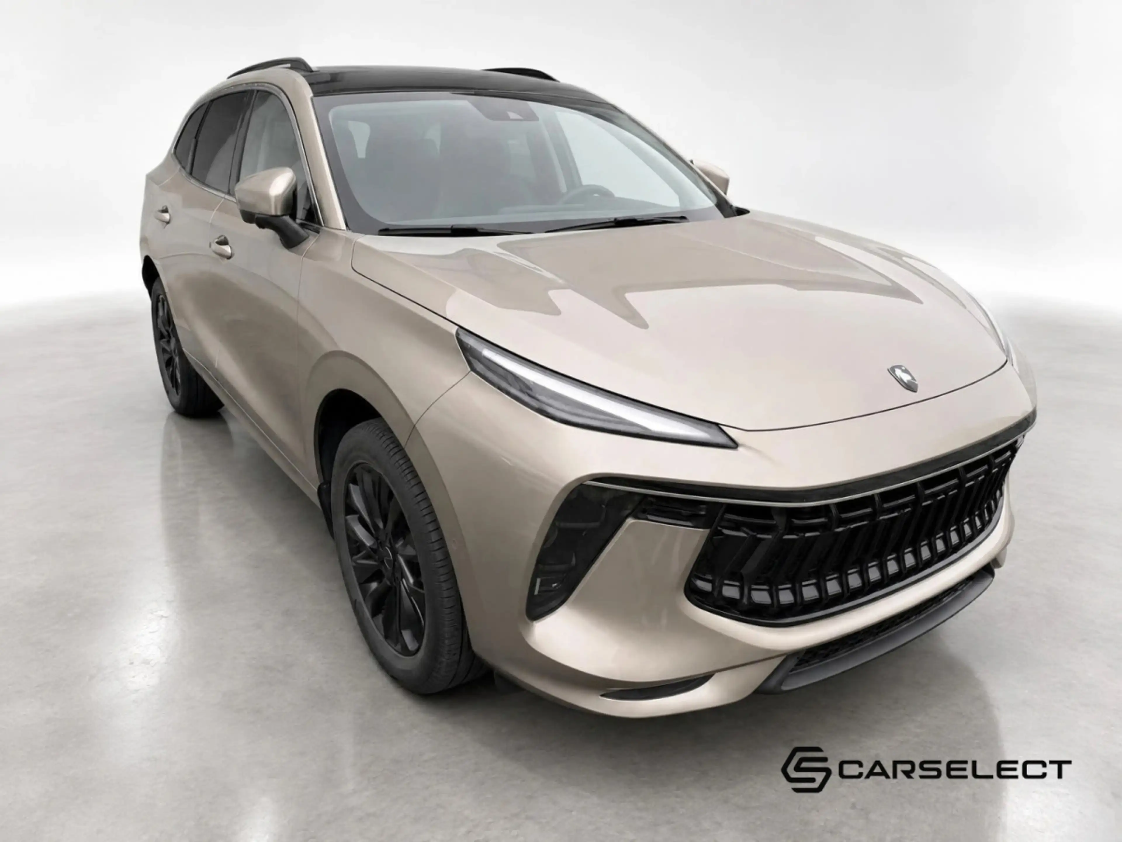 Forthing T5 Evo T5 EVO — photo 2
