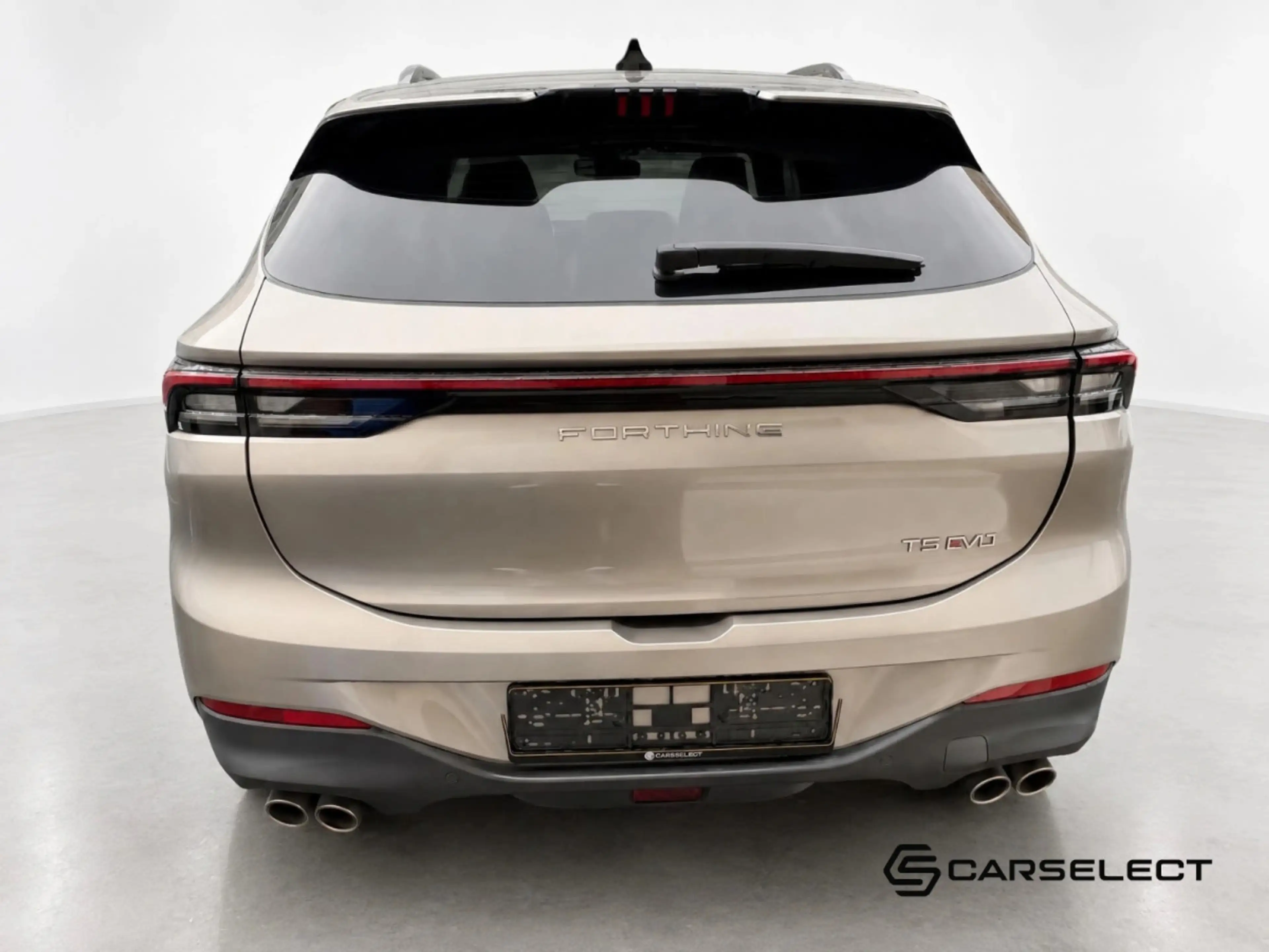 Forthing T5 Evo T5 EVO — photo 5