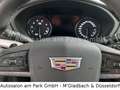 Cadillac XT4 Premium Luxury 350D AWD - AHK, Driver Assist Grau - thumbnail 14