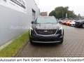 Cadillac XT4 Premium Luxury 350D AWD - AHK, Driver Assist Szürke - thumbnail 12