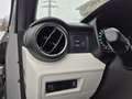 Suzuki Ignis 1,2 DualJet Shine 4WD Grau - thumbnail 13