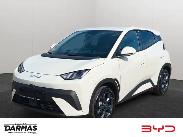 BYD Dolphin DOLPHIN SURF Comfort