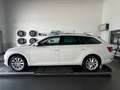 Skoda Superb Combi Style 2.0 TDI DSG *Matrix-LED,AHK,Frontsche Blanc - thumbnail 3