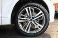 Audi Q5 40 TDI Sportback SPB Quattro S-Tronic S-Line Plus Bianco - thumbnail 6