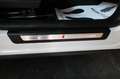 Audi Q5 40 TDI Sportback SPB Quattro S-Tronic S-Line Plus Bianco - thumbnail 45
