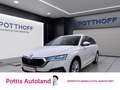 Skoda Octavia Combi 2.0 TDI DSG STYLE NAVI AHK PDC ACC Weiß - thumbnail 1