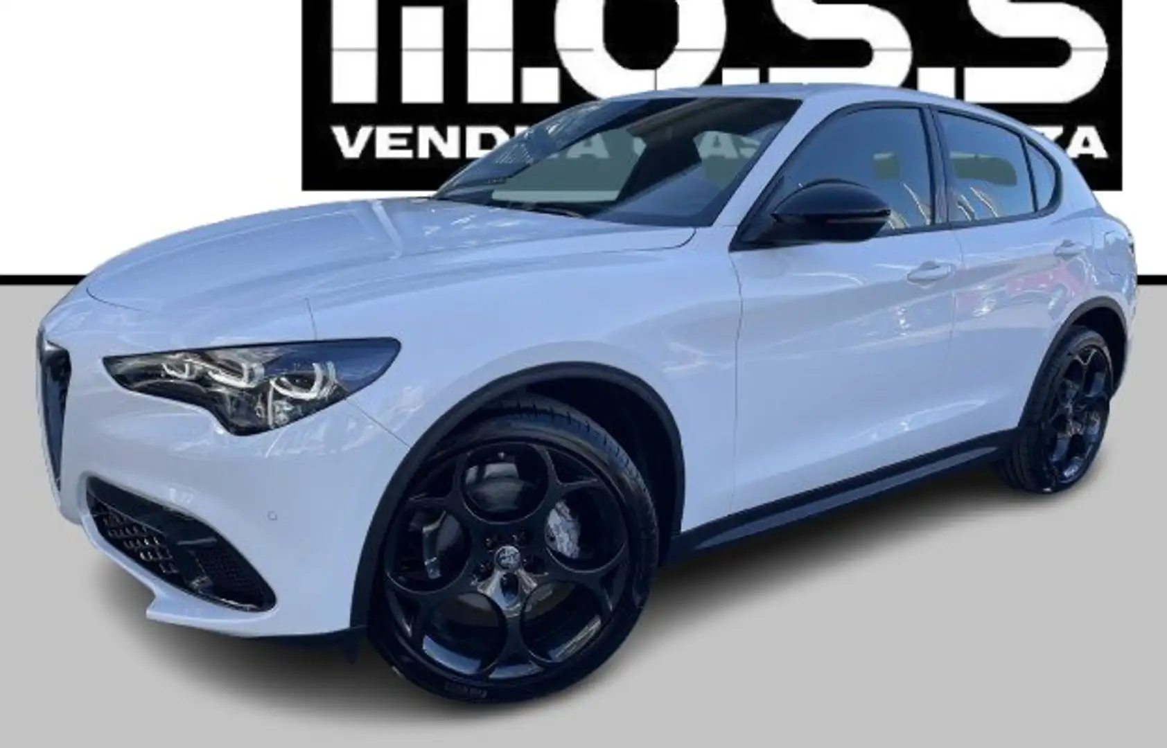 Alfa Romeo Stelvio Stelvio 2.2 t Sprint Q4 210cv auto  KM 0 Blanco - 1