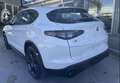 Alfa Romeo Stelvio Stelvio 2.2 t Sprint Q4 210cv auto  KM 0 Blanco - thumbnail 4