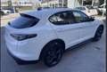 Alfa Romeo Stelvio Stelvio 2.2 t Sprint Q4 210cv auto  KM 0 Blanco - thumbnail 6