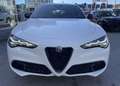 Alfa Romeo Stelvio Stelvio 2.2 t Sprint Q4 210cv auto  KM 0 Blanco - thumbnail 2