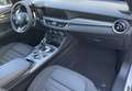 Alfa Romeo Stelvio Stelvio 2.2 t Sprint Q4 210cv auto  KM 0 Blanco - thumbnail 8