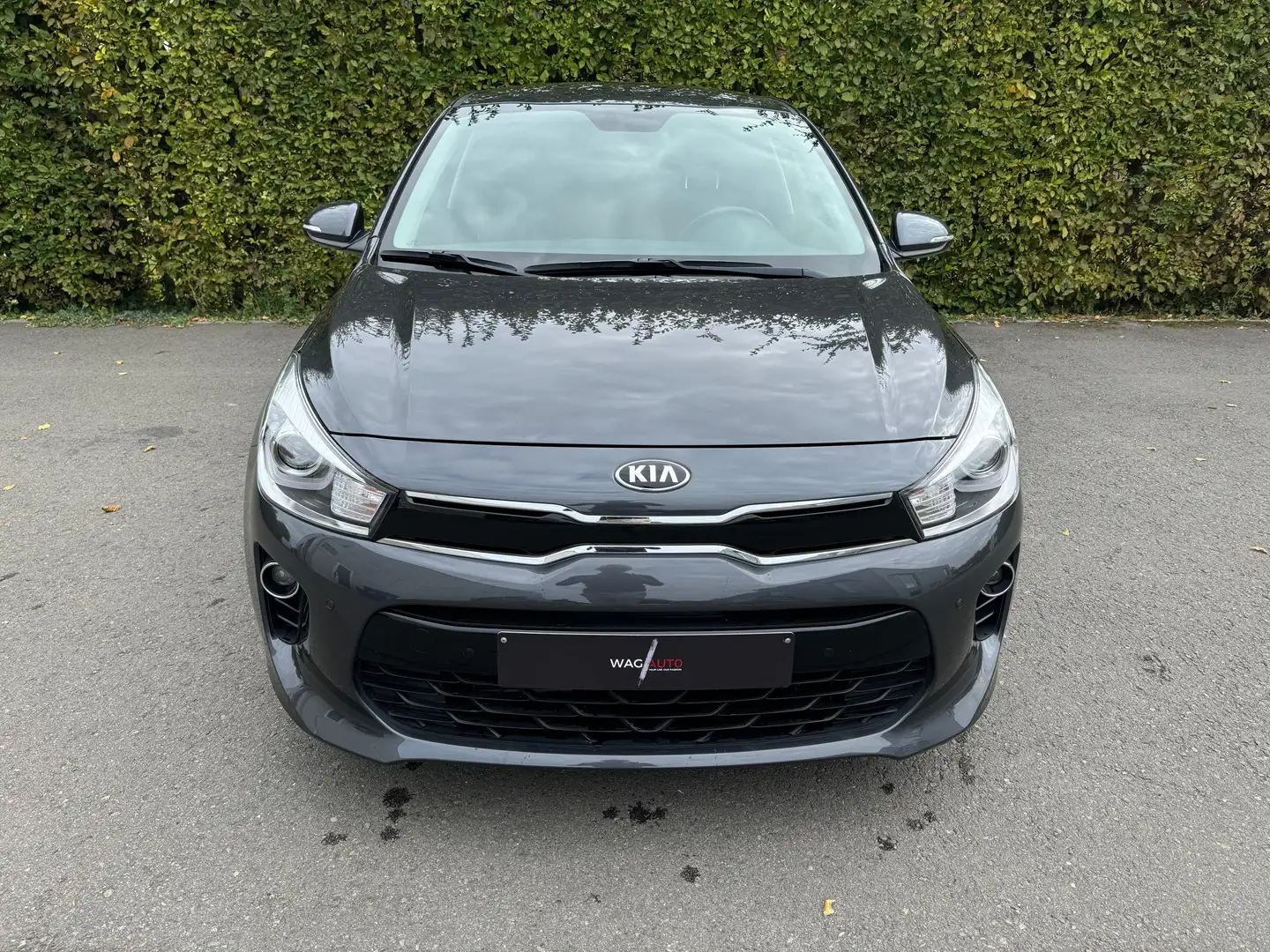 Kia Rio Rio 1.0 T-GDi DCT / CARPLAY / / PDC / - 2