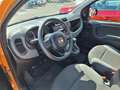 Fiat Panda 1.0 hybrid s&s 70cv Arancione - thumbnail 9