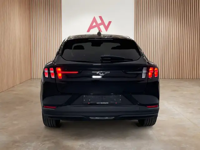 Ford Mustang Mach-E view 8