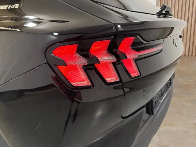 Ford Mustang Mach-E view 9