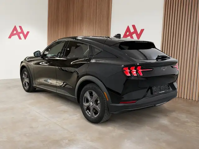 Ford Mustang Mach-E view 10