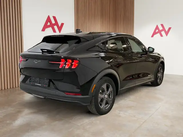 Ford Mustang Mach-E view 6