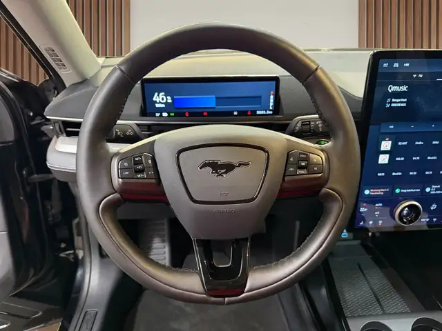 Ford Mustang Mach-E view 15