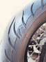 Harley-Davidson 1200 Custom - thumbnail 10