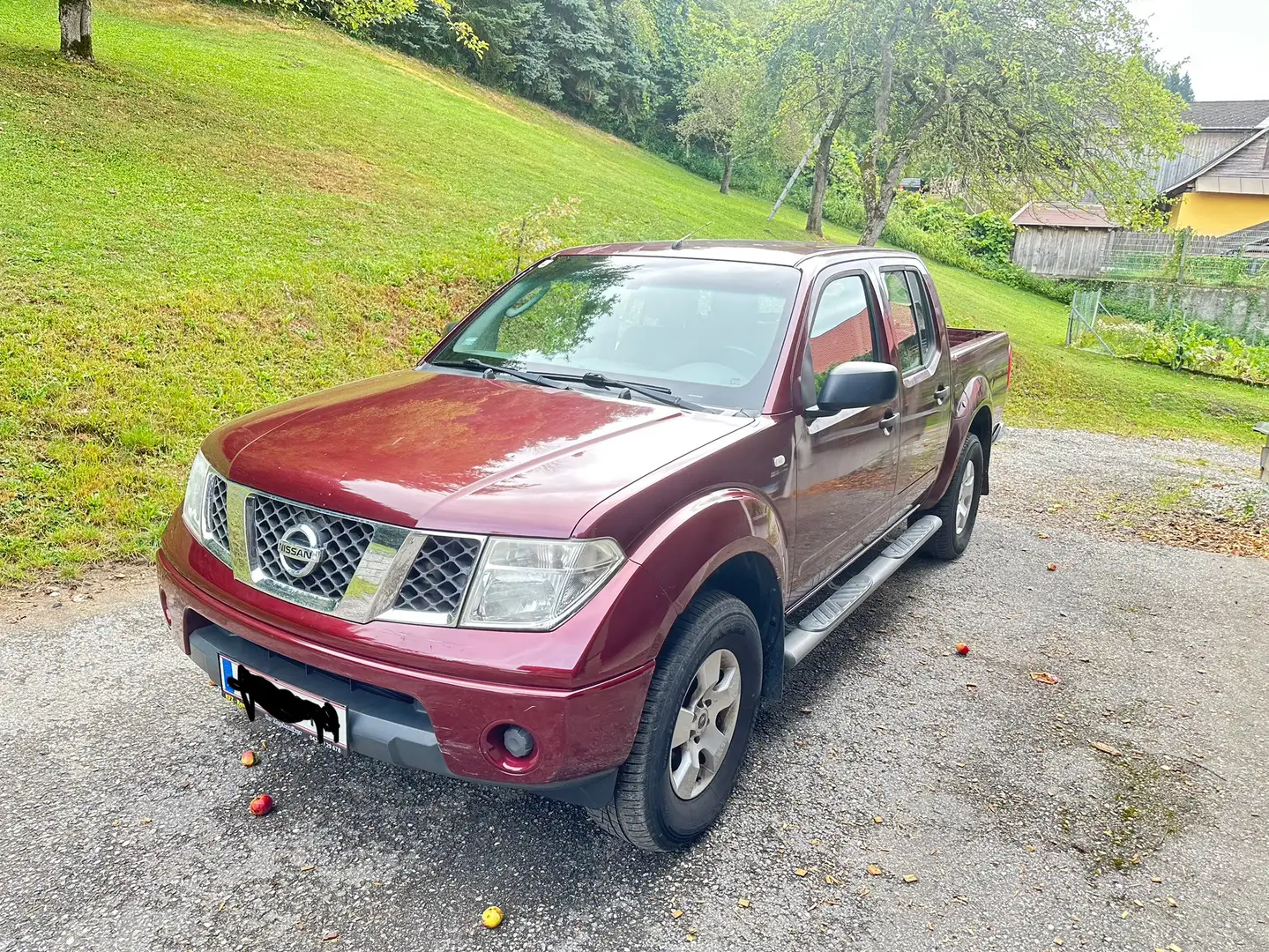 Nissan Navara - 1