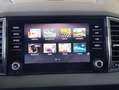 Skoda Karoq 1.5 TSI ACT DSG Ambition Albastru - thumbnail 29