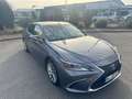 Lexus ES 300 300 h Grau - thumbnail 8