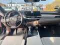 Lexus ES 300 300 h Grau - thumbnail 13