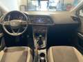 SEAT Leon Leon 5p 1.6 tdi cr Reference 90cv Bianco - thumbnail 10