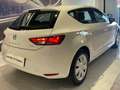 SEAT Leon Leon 5p 1.6 tdi cr Reference 90cv Bianco - thumbnail 4