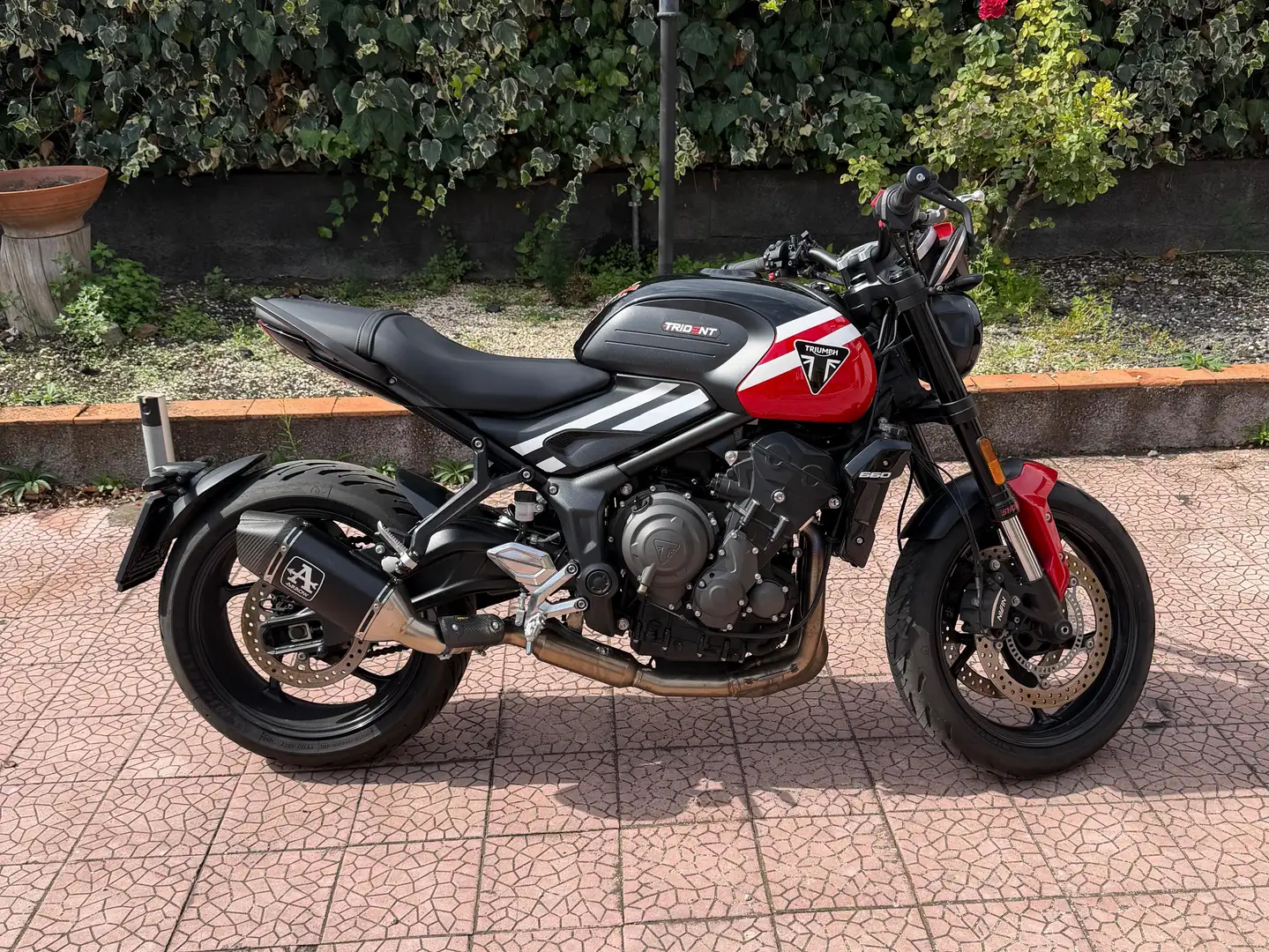 Triumph Trident 660 Rouge - 1