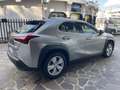 Lexus UX 200 250h 2.0 Business 2wd cvt UNICO PROPRIETARIO Grigio - thumbnail 5