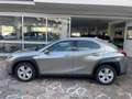 Lexus UX 200 250h 2.0 Business 2wd cvt UNICO PROPRIETARIO Grigio - thumbnail 3