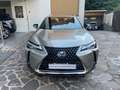 Lexus UX 200 250h 2.0 Business 2wd cvt UNICO PROPRIETARIO Grigio - thumbnail 2