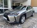 Lexus UX 200 250h 2.0 Business 2wd cvt UNICO PROPRIETARIO Grigio - thumbnail 1