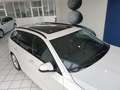 BMW 530 d xDrive Sport-Aut/LED/Pano/Leder/HuD/H&K Blanco - thumbnail 8